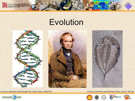 Evolution Presenter notes: Evolution is one of the most important concepts in the Science of Biology. In fact Biology simply does not make sense without.