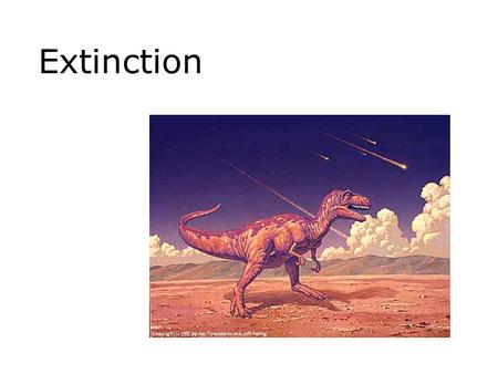 Extinction. More than 99% of the species that have existed since the Cambrian are now extinct. Hanging on that long is tough to do. There are exceptions.