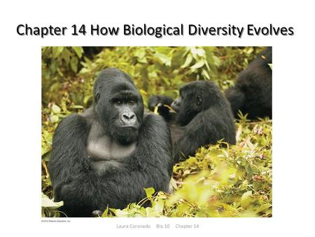 Chapter 14 How Biological Diversity Evolves
