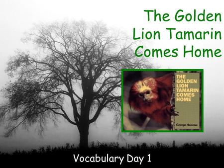 The Golden Lion Tamarin Comes Home Vocabulary Day 1.