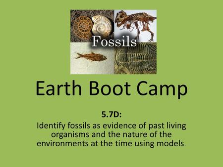 Earth Boot Camp 5.7D: Identify fossils as evidence of past living organisms and the nature of the environments at the time using models.