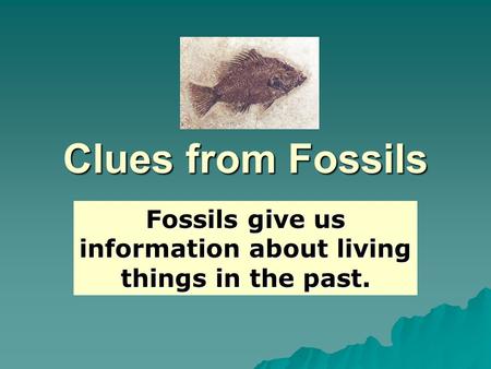 Clues from Fossils Fossils give us information about living things in the past.