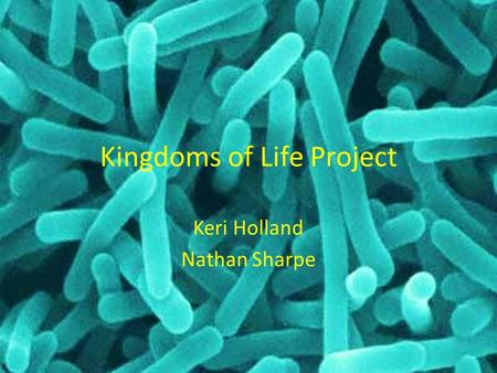 Kingdoms of Life Project Keri Holland Nathan Sharpe.