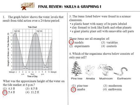 FINAL REVIEW: SKILLS & GRAPHING I