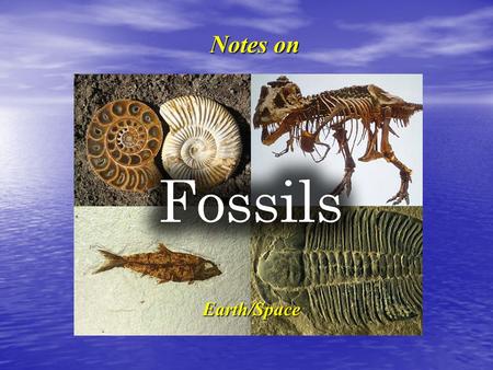 Notes on Fossils (from top left) are of a ammonite (marine); T-Rex; an ancient fish and a trilobite (marine). Earth/Space.