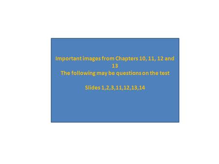 Important images from Chapters 10, 11, 12 and 13 The following may be questions on the test Slides 1,2,3,11,12,13,14.