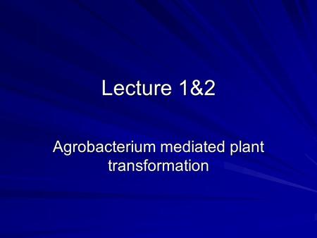 Agrobacterium mediated plant transformation