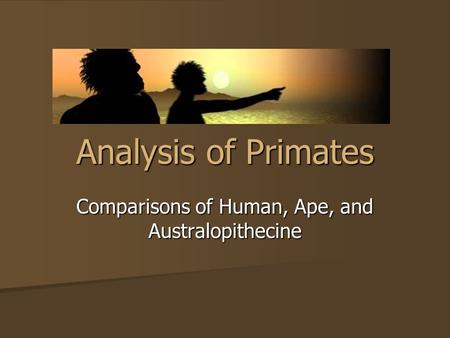Analysis of Primates Comparisons of Human, Ape, and Australopithecine.