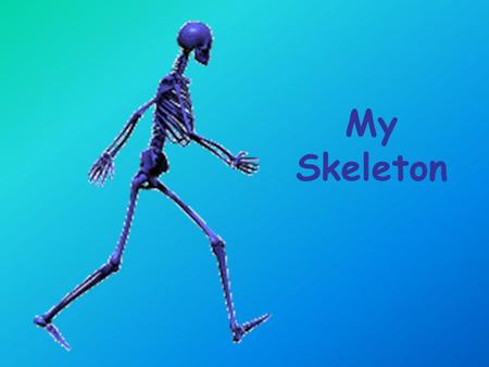 My Skeleton. Facts about our Skeleton. There are 206 bones in your skeleton. Your skeleton supports your body and helps you move. Calcium helps your bones.
