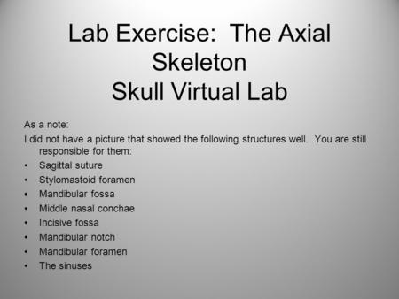 Lab Exercise: The Axial Skeleton Skull Virtual Lab