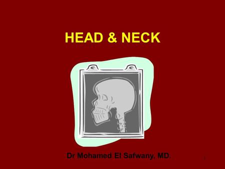 Dr Mohamed El Safwany, MD.