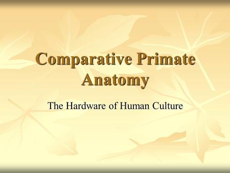 Comparative Primate Anatomy The Hardware of Human Culture.
