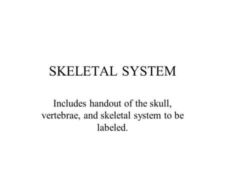 SKELETAL SYSTEM Includes handout of the skull, vertebrae, and skeletal system to be labeled.