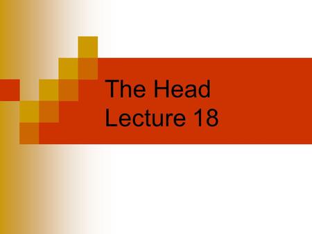 The Head Lecture 18.