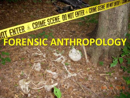 FORENSIC ANTHROPOLOGY. Anthropology? Anthropology is the study of humans, past and present. – Sociocultural Anthropology – Biological (or Physical) Anthropology.
