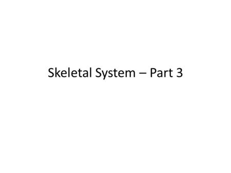 Skeletal System – Part 3.