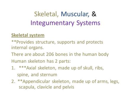 Skeletal, Muscular, & Integumentary Systems Skeletal system **Provides structure, supports and protects internal organs. There are about 206 bones in.