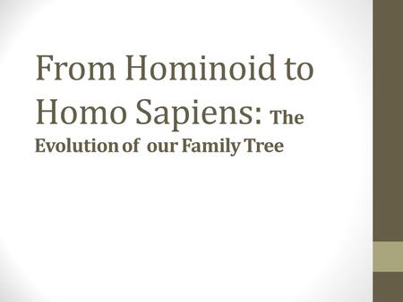 From Hominoid to Homo Sapiens: The Evolution of our Family Tree.