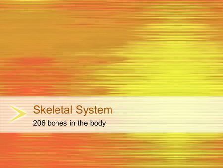 Skeletal System 206 bones in the body.