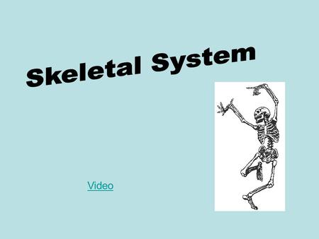Skeletal System Video.