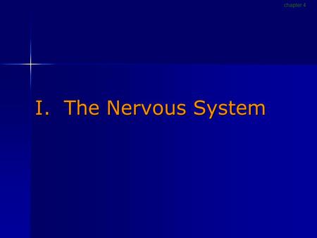 I. The Nervous System chapter 4. Nervous System [p116] Gathers and processes information Gathers and processes information Produces responses to stimuli.