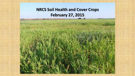 NRCS Soil Health and Cover Crops February 27, 2015