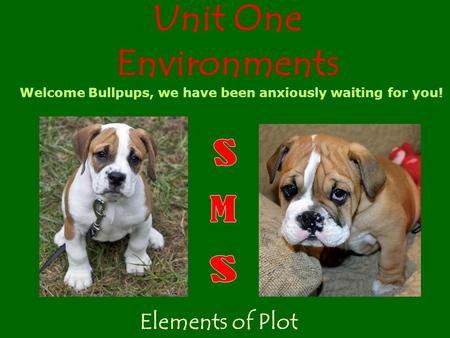 Unit One Environments Elements of Plot Welcome Bullpups, we have been anxiously waiting for you!