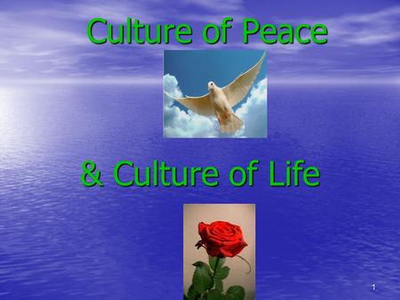 Culture of Peace & Culture of Life 1. Culture of Peace - definition society-wide practices and habits that promote peace a positive way of viewing peace.