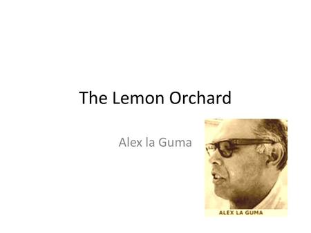 The Lemon Orchard Alex la Guma.