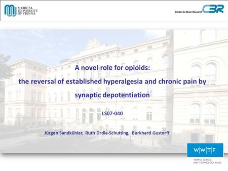 A novel role for opioids: the reversal of established hyperalgesia and chronic pain by synaptic depotentiation Jürgen Sandkühler, Ruth Drdla-Schutting,