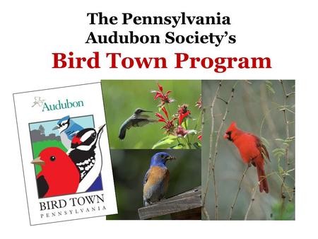 The Pennsylvania Audubon Society’s Bird Town Program.