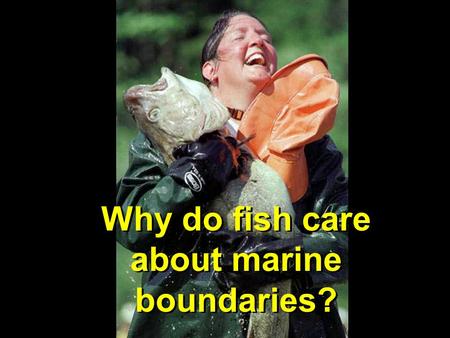 Why do fish care about marine boundaries?. If the reserve is too small…