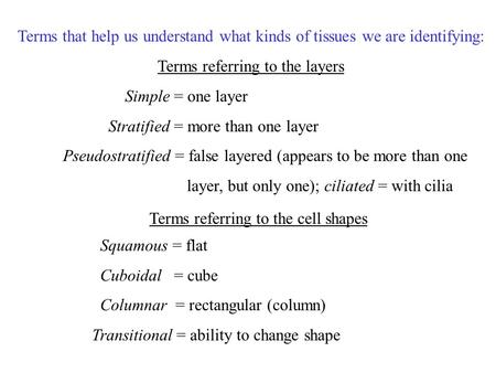 Terms that help us understand what kinds of tissues we are identifying: Terms referring to the layers Simple = one layer Stratified = more than one layer.