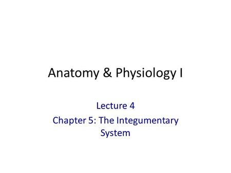 Lecture 4 Chapter 5: The Integumentary System
