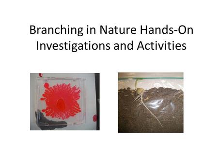 Branching in Nature Hands-On Investigations and Activities.