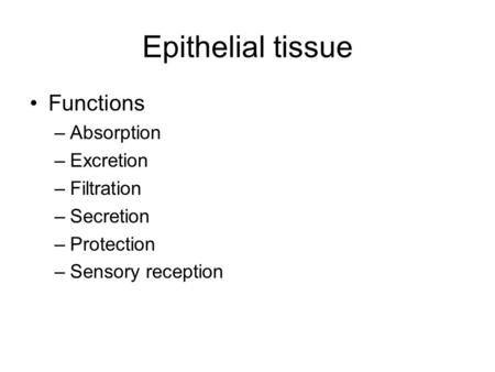 Epithelial tissue Functions Absorption Excretion Filtration Secretion