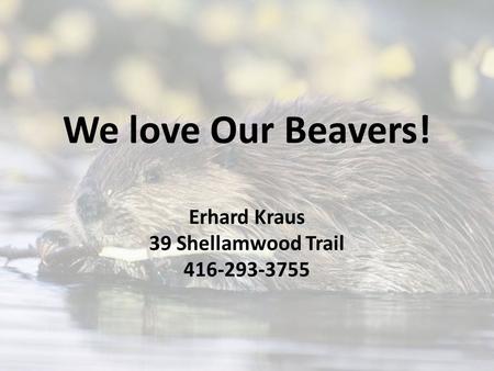 We love Our Beavers! Erhard Kraus 39 Shellamwood Trail 416-293-3755.