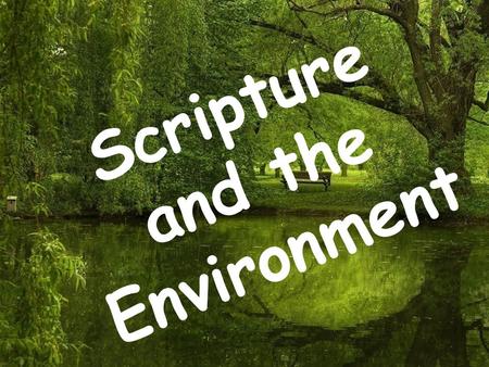Scripture and the Environment. Scripture The Bible reveals that it is human sinfulness that has alienated us from God – Sin and alienation have led us.