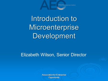 Association for Enterprise Opportunity Introduction to Microenterprise Development Elizabeth Wilson, Senior Director.