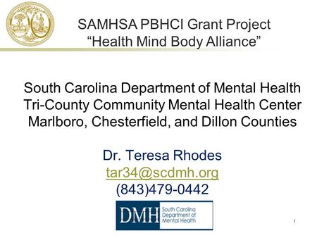 1 South Carolina Department of Mental Health Tri-County Community Mental Health Center Marlboro, Chesterfield, and Dillon Counties Dr. Teresa Rhodes