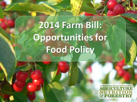 2014 Farm Bill: Opportunities for Food Policy. Joe Shultz Chief Economist U.S. Senate Committee on Agriculture, Nutrition and Forestry.