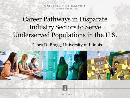 Career Pathways in Disparate Industry Sectors to Serve Underserved Populations in the U.S. Debra D. Bragg, University of Illinois.