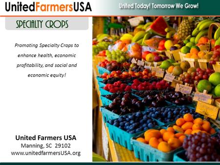 United Farmers USA Manning, SC 29102 www.unitedfarmersUSA.org Promoting Specialty Crops to enhance health, economic profitability, and social and economic.