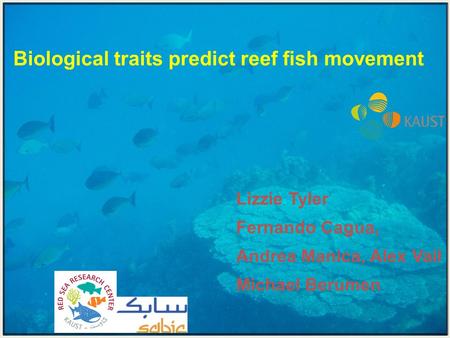 Biological traits predict reef fish movement Lizzie Tyler Fernando Cagua, Andrea Manica, Alex Vail Michael Berumen.
