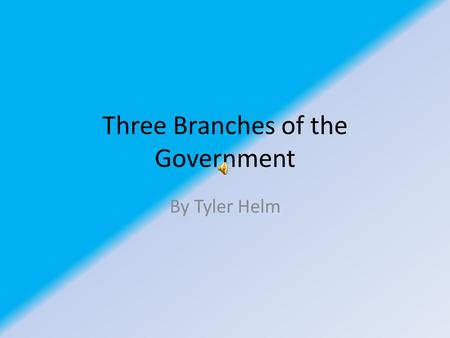 Three Branches of the Government By Tyler Helm Executive branch The Executive Branch is ran by the president. The Executive Branch is housed in The White.