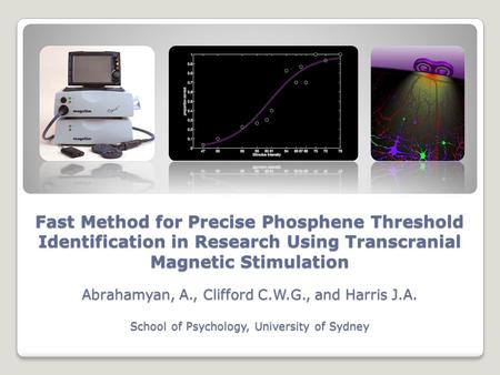 Fast Method for Precise Phosphene Threshold Identification in Research Using Transcranial Magnetic Stimulation Abrahamyan, A., Clifford C.W.G., and Harris.
