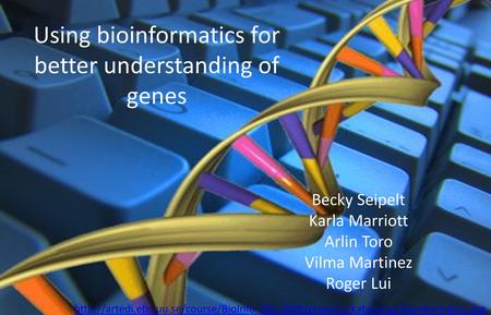 Using bioinformatics for better understanding of genes Becky Seipelt Karla Marriott Arlin Toro Vilma Martinez Roger Lui