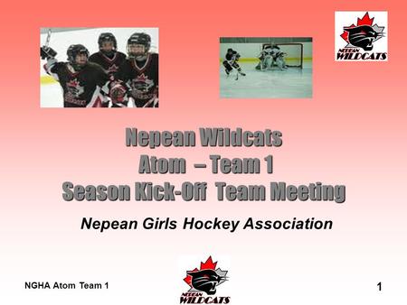 NGHA Atom Team 1 1 Nepean Wildcats Atom – Team 1 Season Kick-Off Team Meeting Nepean Girls Hockey Association.