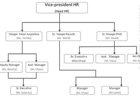 Vice-president HR (Head HR) Manger Talent Acquisition (Ms. Vertika) Am (SAP) (Mr. Amit) Sr. Manger Payrolls (Mr. Mohit) Sr. Manager PMS (Mr. Mudit) Sr.