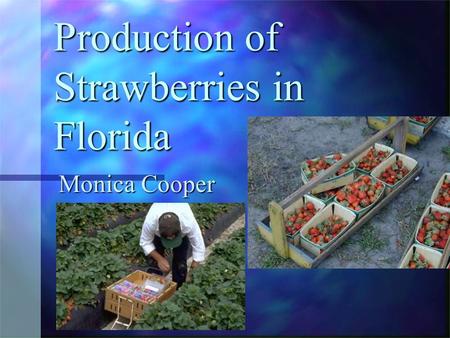 Production of Strawberries in Florida Monica Cooper.